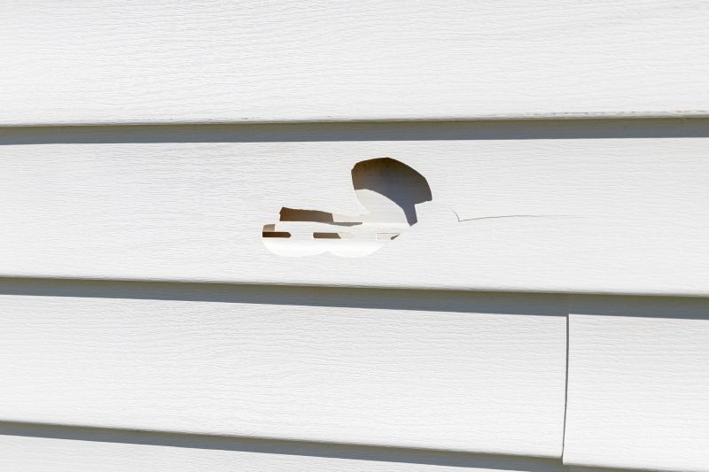 Vinyl Siding Repair - Close-up of patched area