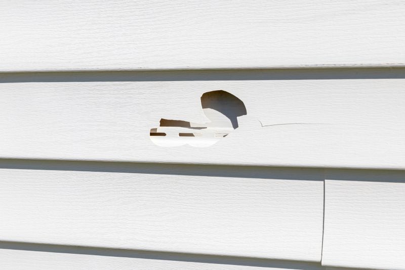 Vinyl Siding Repair - Repair consultation
